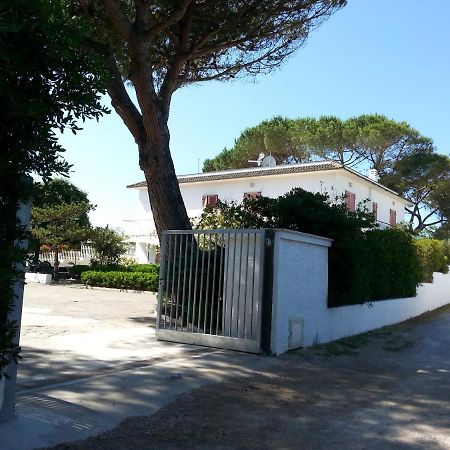 Appartamento In Villa Valentini, Fronte Mare, Giardino E Parcheggio Privato, Wifi, Dotato Di Tutti I Confort, Nel Golfo Di Gaeta มินตูร์โน ภายนอก รูปภาพ