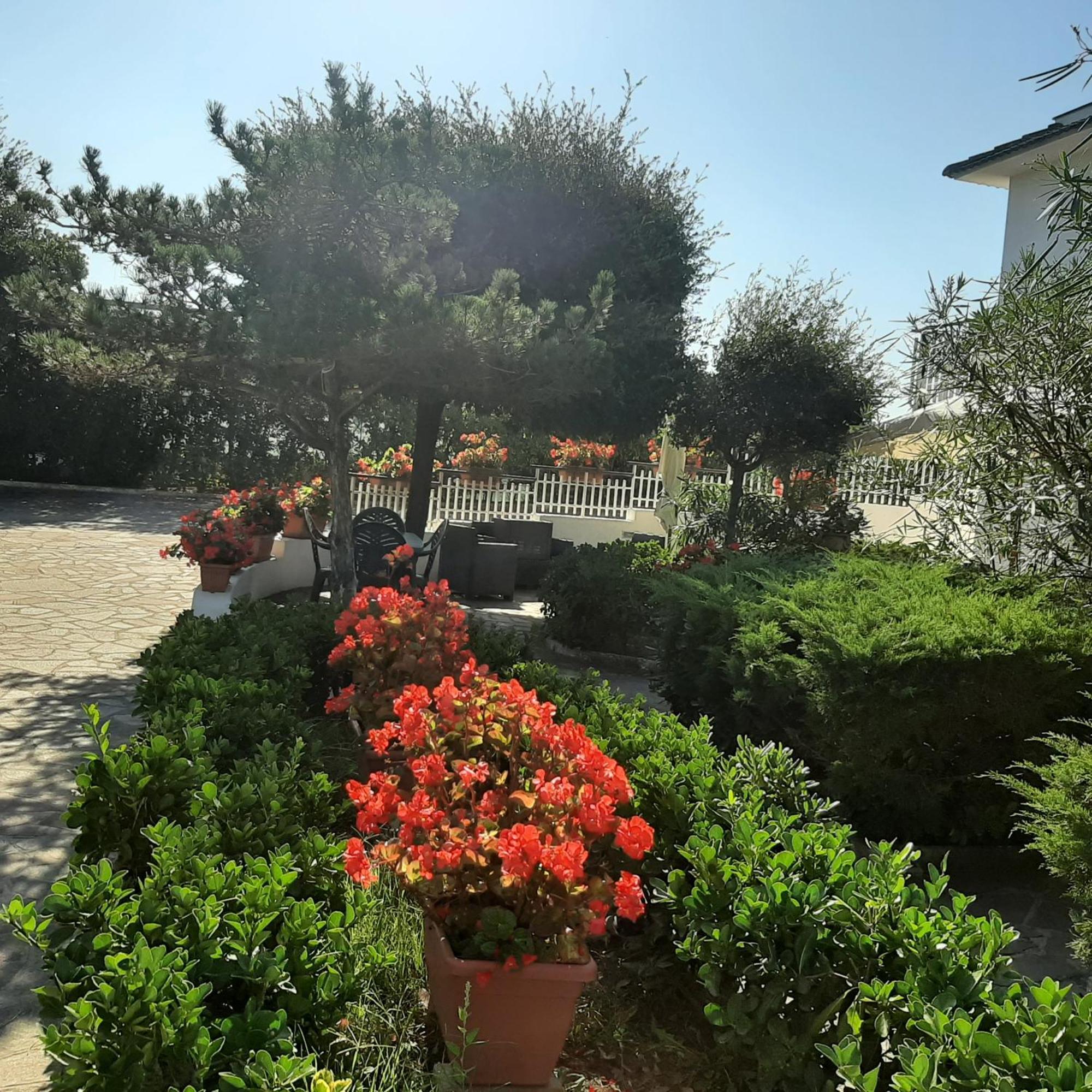 Appartamento In Villa Valentini, Fronte Mare, Giardino E Parcheggio Privato, Wifi, Dotato Di Tutti I Confort, Nel Golfo Di Gaeta มินตูร์โน ภายนอก รูปภาพ