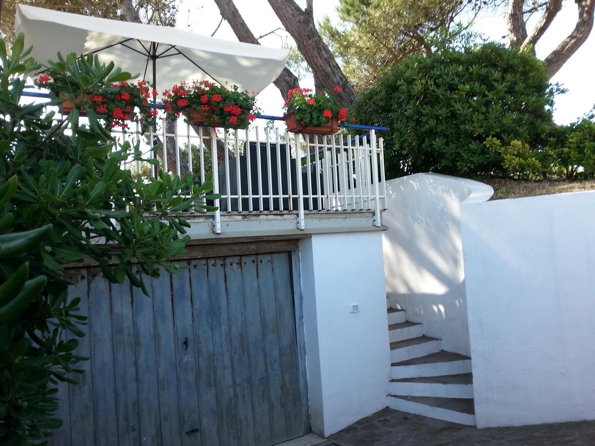 Appartamento In Villa Valentini, Fronte Mare, Giardino E Parcheggio Privato, Wifi, Dotato Di Tutti I Confort, Nel Golfo Di Gaeta มินตูร์โน ภายนอก รูปภาพ